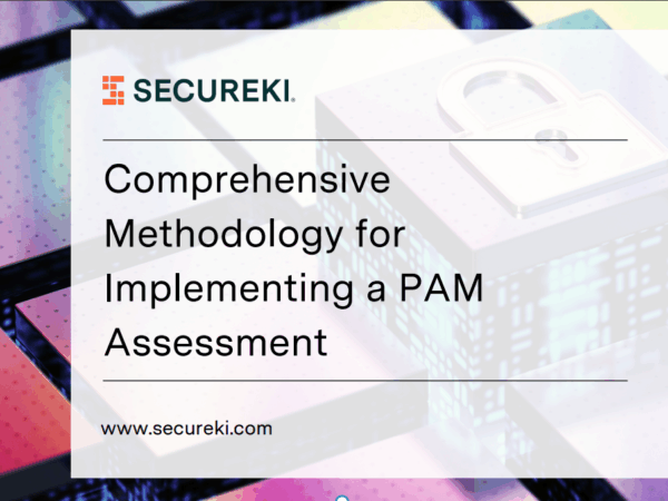Implementing a PAM Assessment Guide