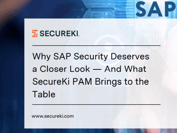 Why SAP Security Deserves a Closer Look Article