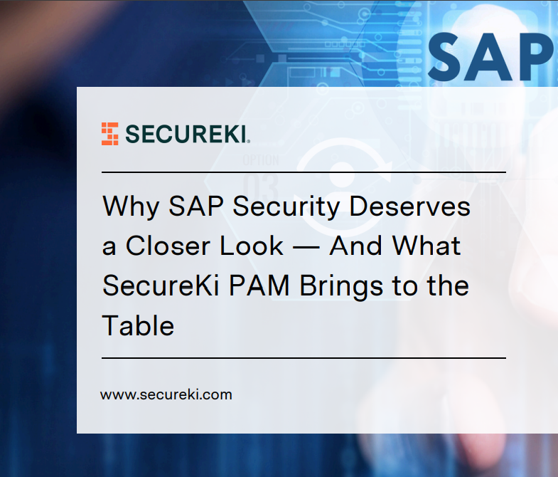Why SAP Security Deserves a Closer Look Article